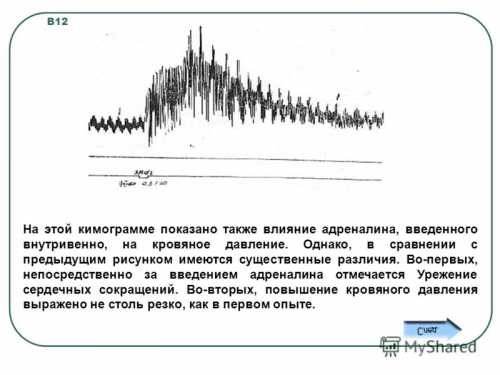 Влияние адреналина на зачатие