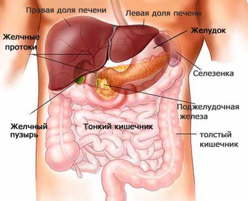 Различают калькулезный, бескаменный вид болезни