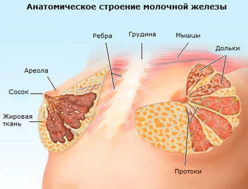 Силикон в косметике: да или нет