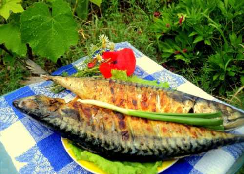 Скумбрия на мангале: рецепт с овощами и травами