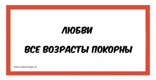 Нас, школьников, позиция огорченных родителей возмущала