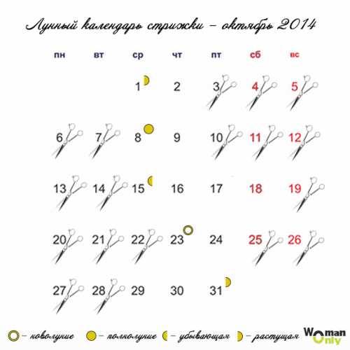 В наступает полнолуние декабря, суббота