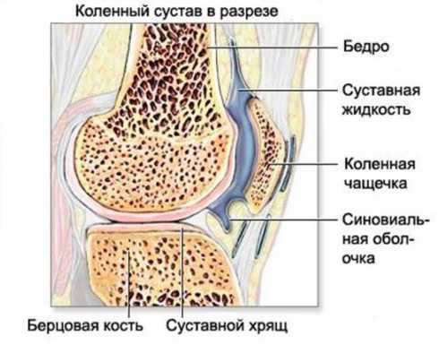 Возможно использование только одного минерального удобрения, содержащего в своём составе сразу все необходимые элементы для лилий